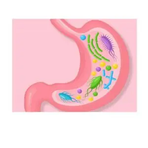 Gut Health Herbal Products