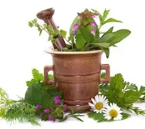 Herbal Colon Cleanses